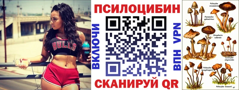 Псилоцибиновые грибы ЛСД  Венёв 