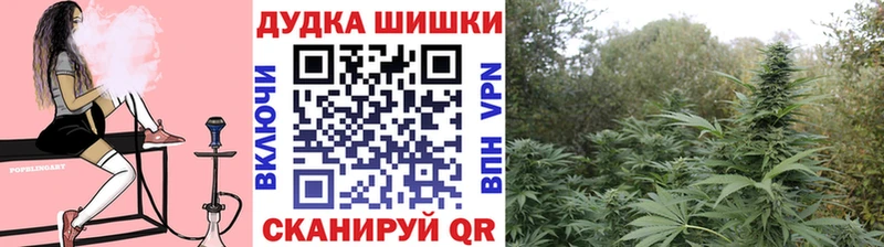Канабис AK-47  Венёв 